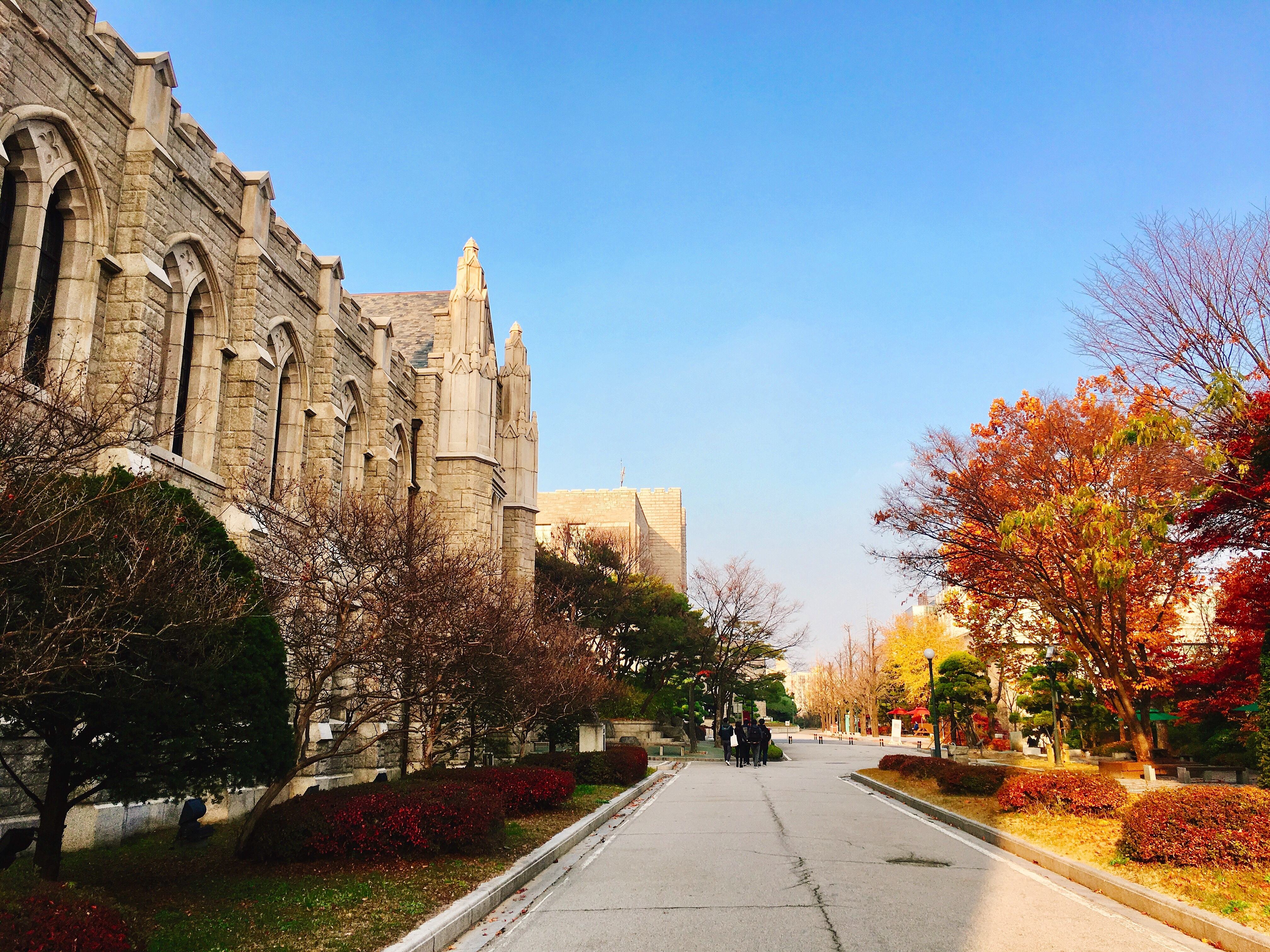 韩国东国大学留学费用