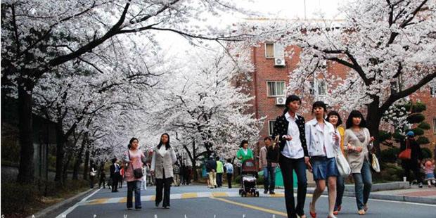 韩国首尔大学的基本情况