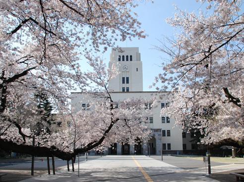 赴日本留学生回国就业前景