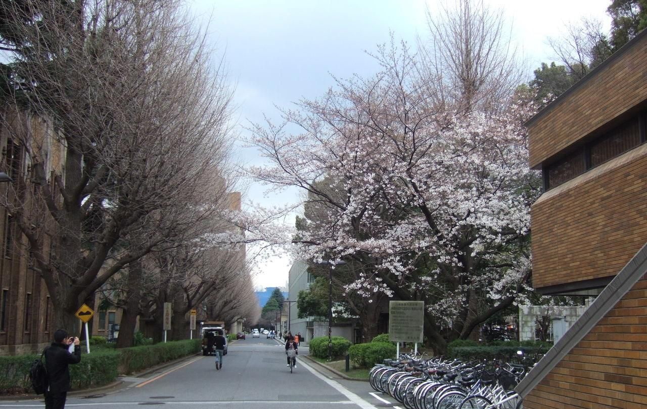 日本高中留学多少钱一年