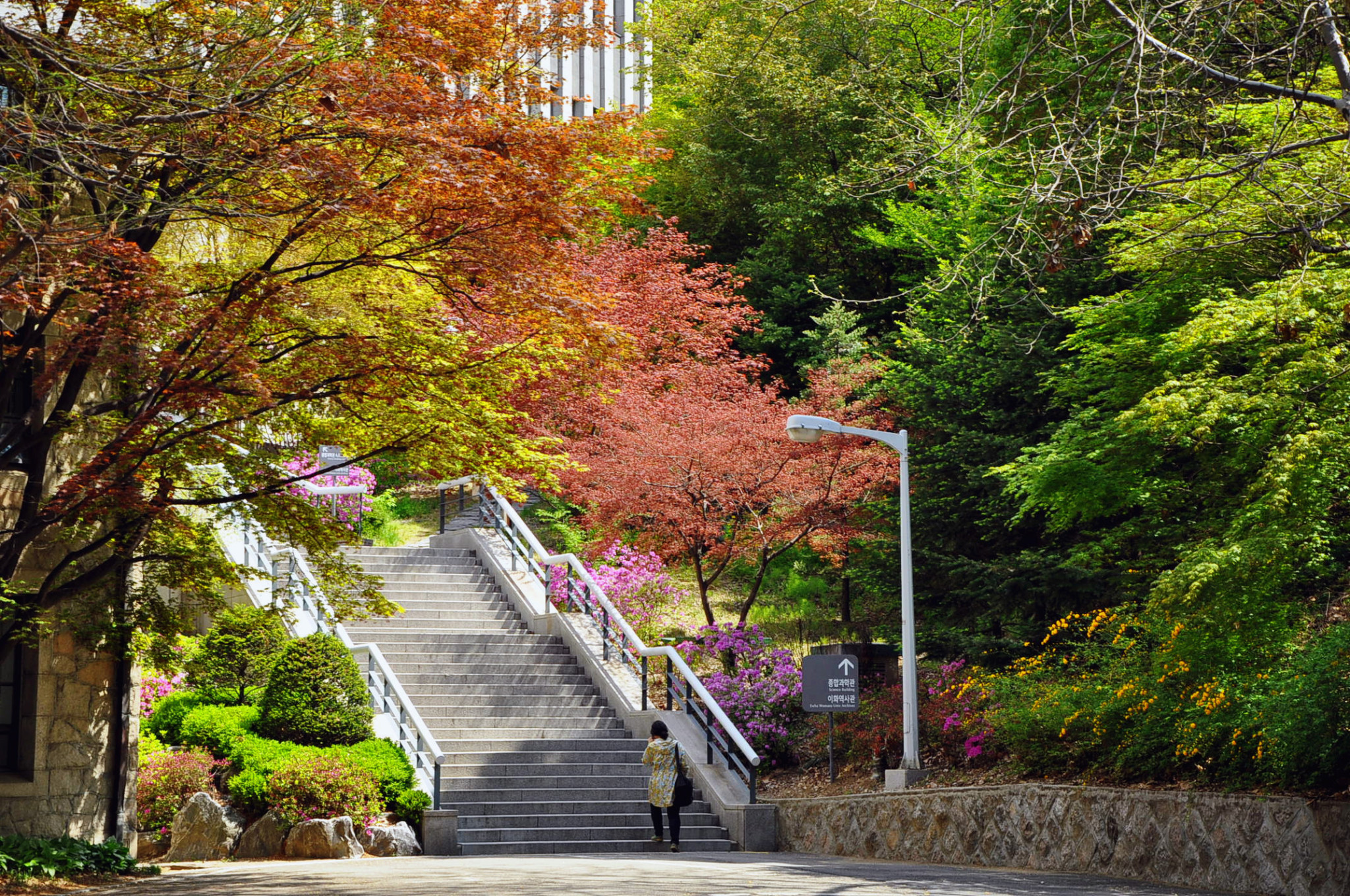 韩国梨花女子大学留学条件