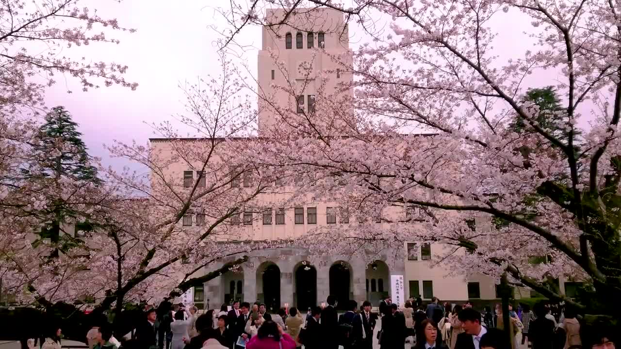 留学日本的费用和流程